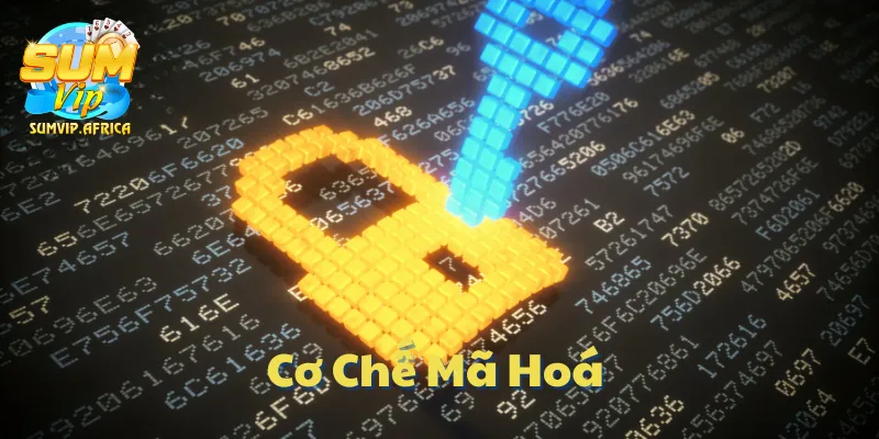 Cơ Chế Mã Hóa Và Bảo Mật