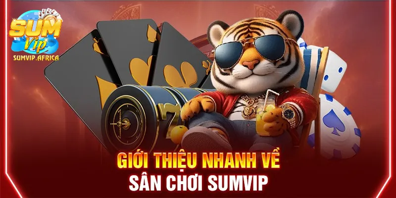 Giới Thiệu Tổng Quan Về Sumvip